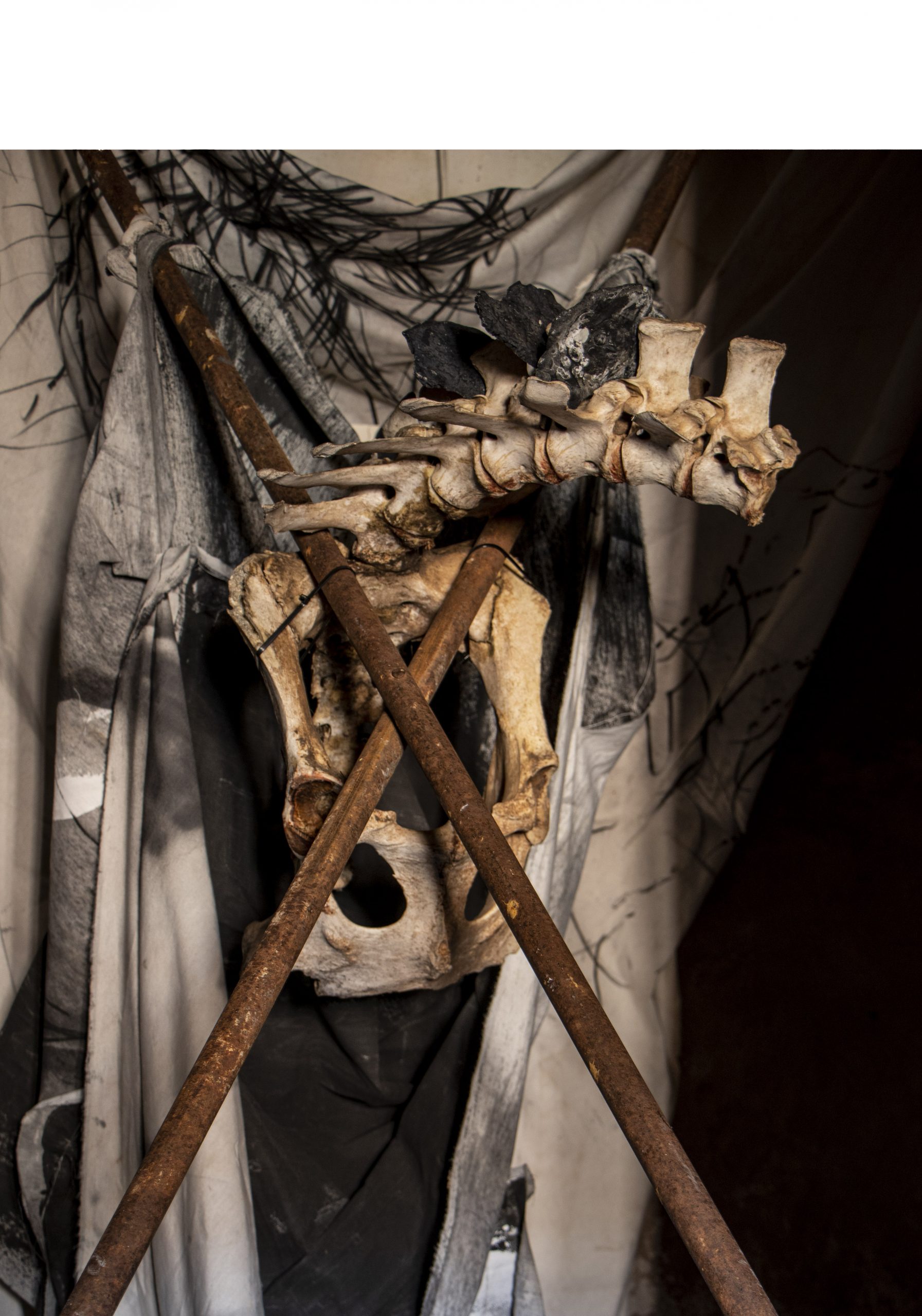 RITUAL FRAGMENTS 1