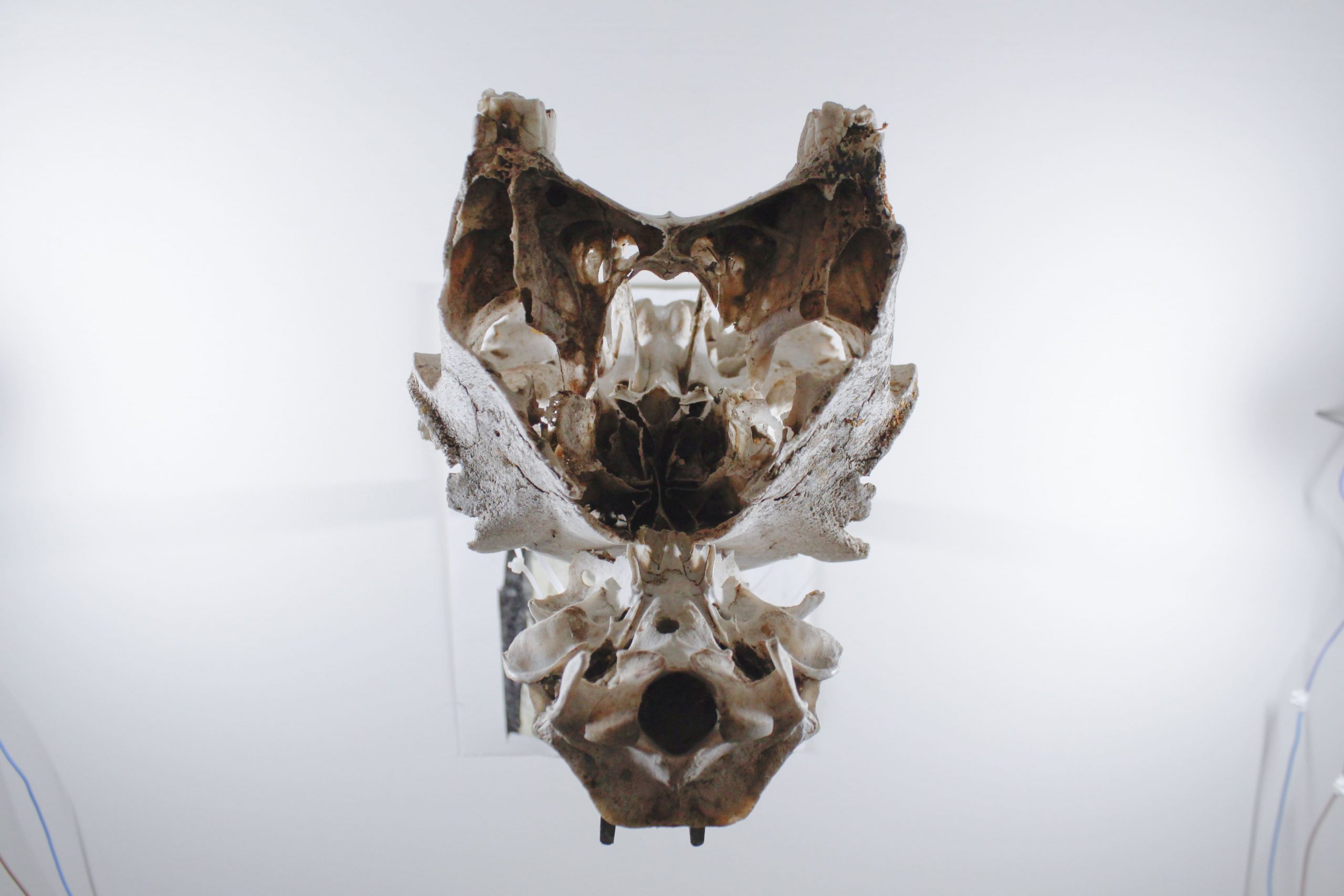 conjunto de todos los estados posibles – carlos zorromono (12)