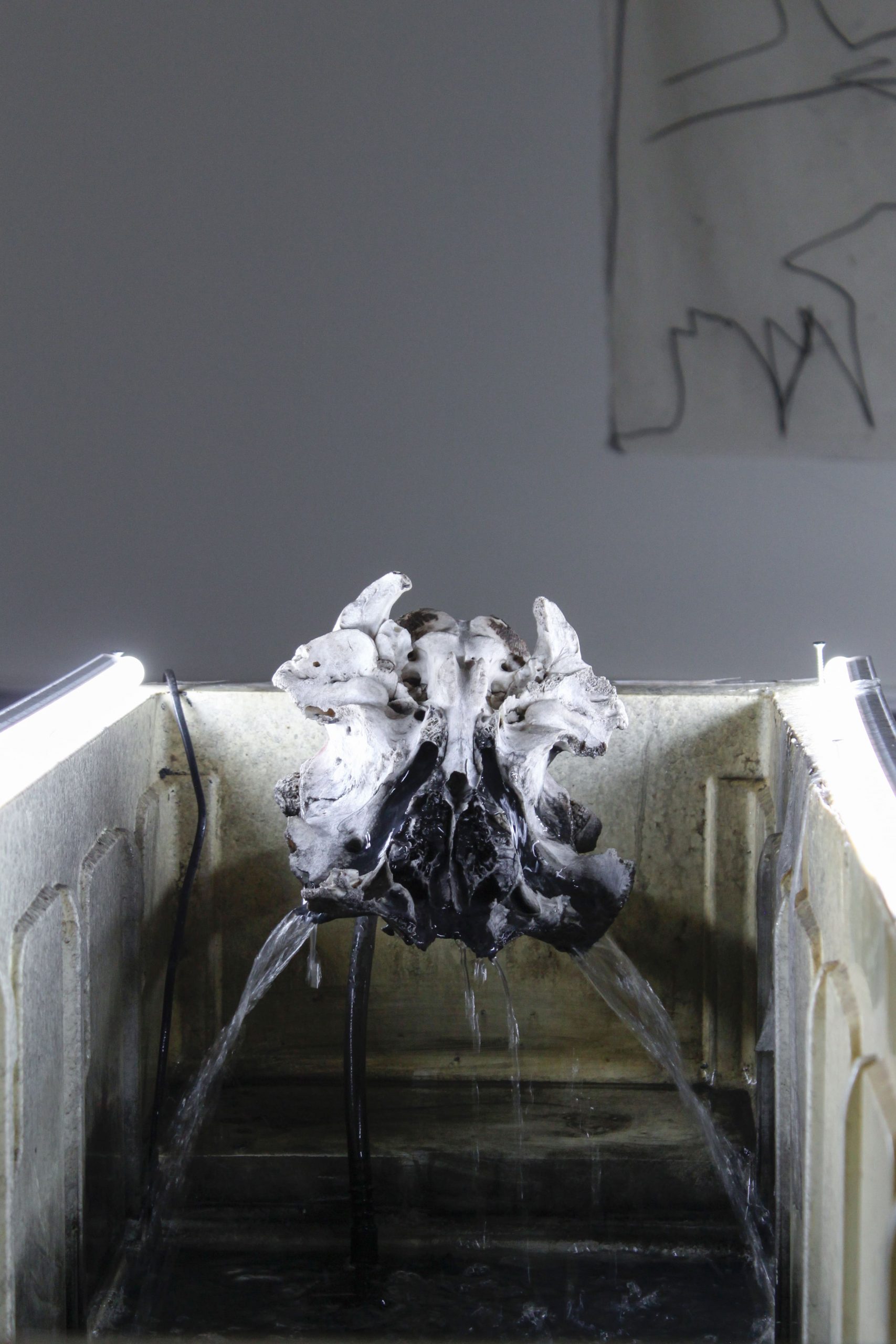 conjunto de todos los estados posibles – carlos zorromono (14)