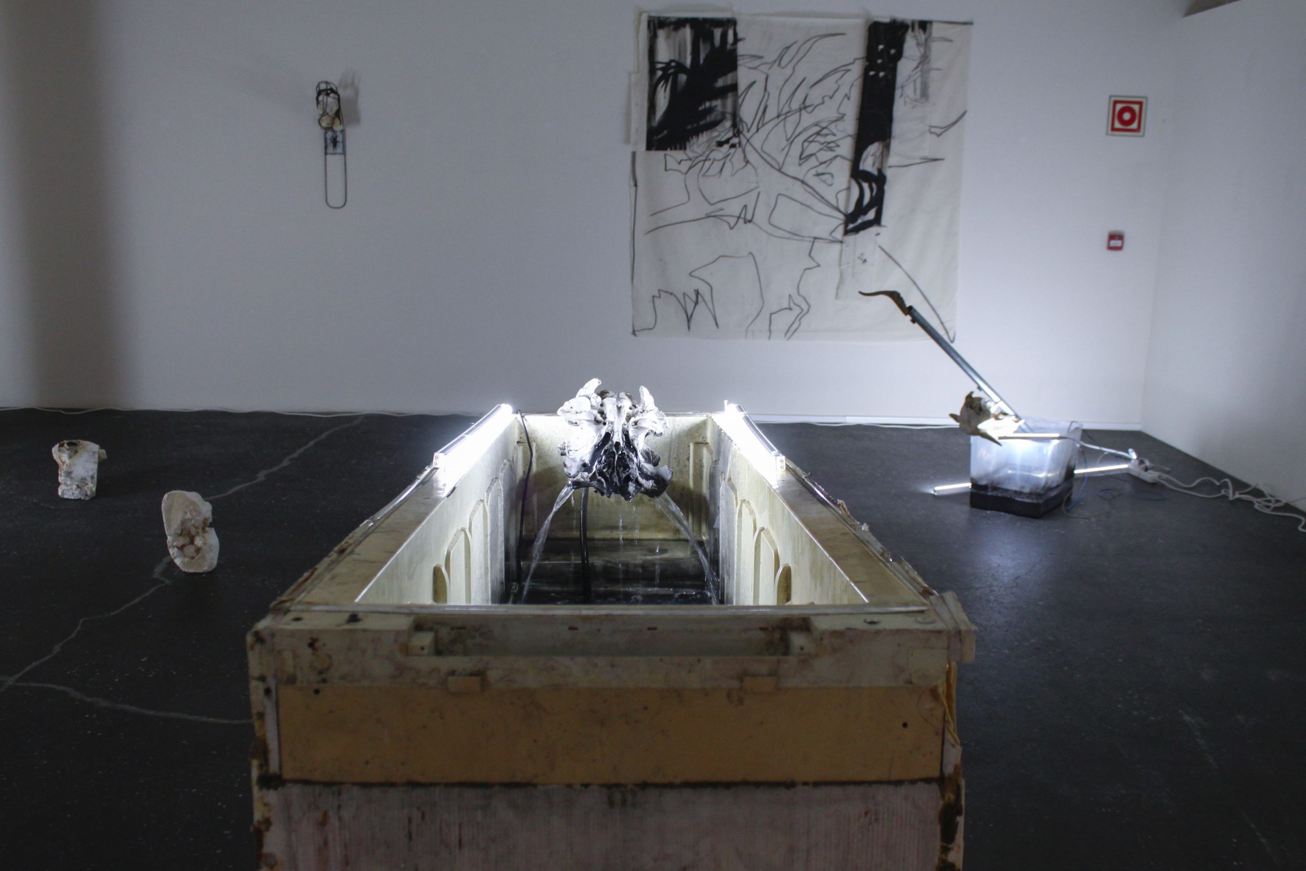 conjunto de todos los estados posibles – carlos zorromono (15)