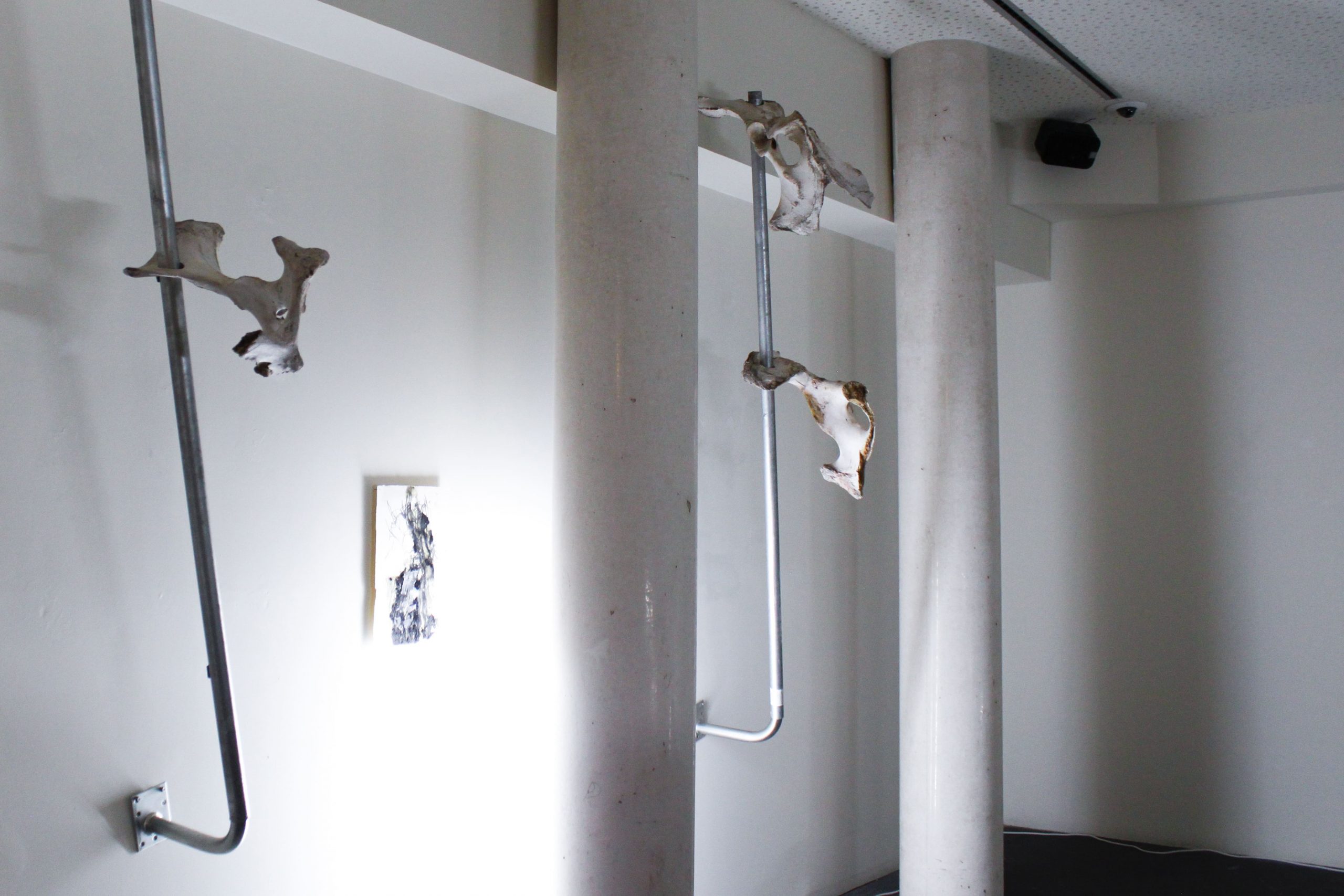 conjunto de todos los estados posibles – carlos zorromono (16)