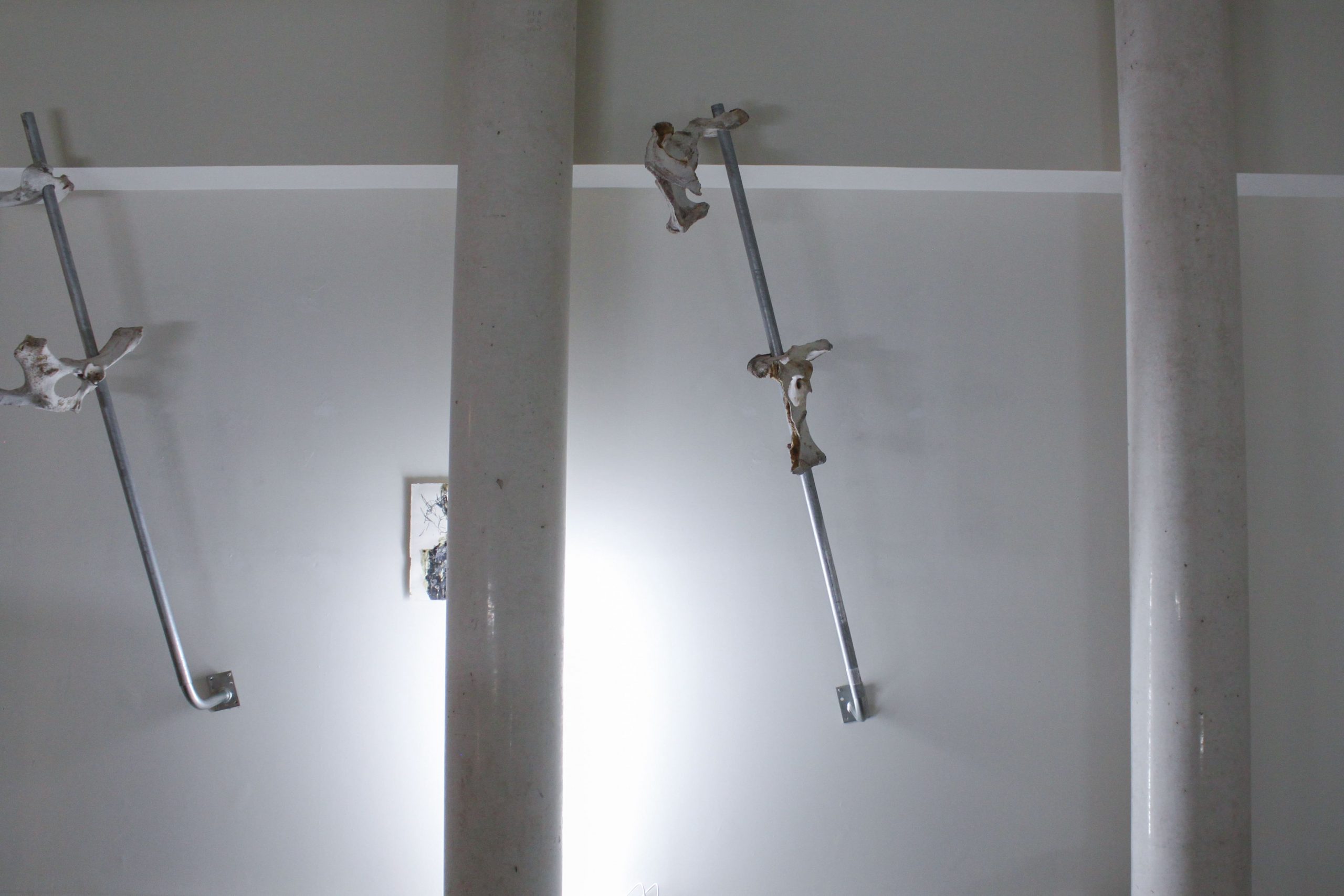 conjunto de todos los estados posibles – carlos zorromono (17)