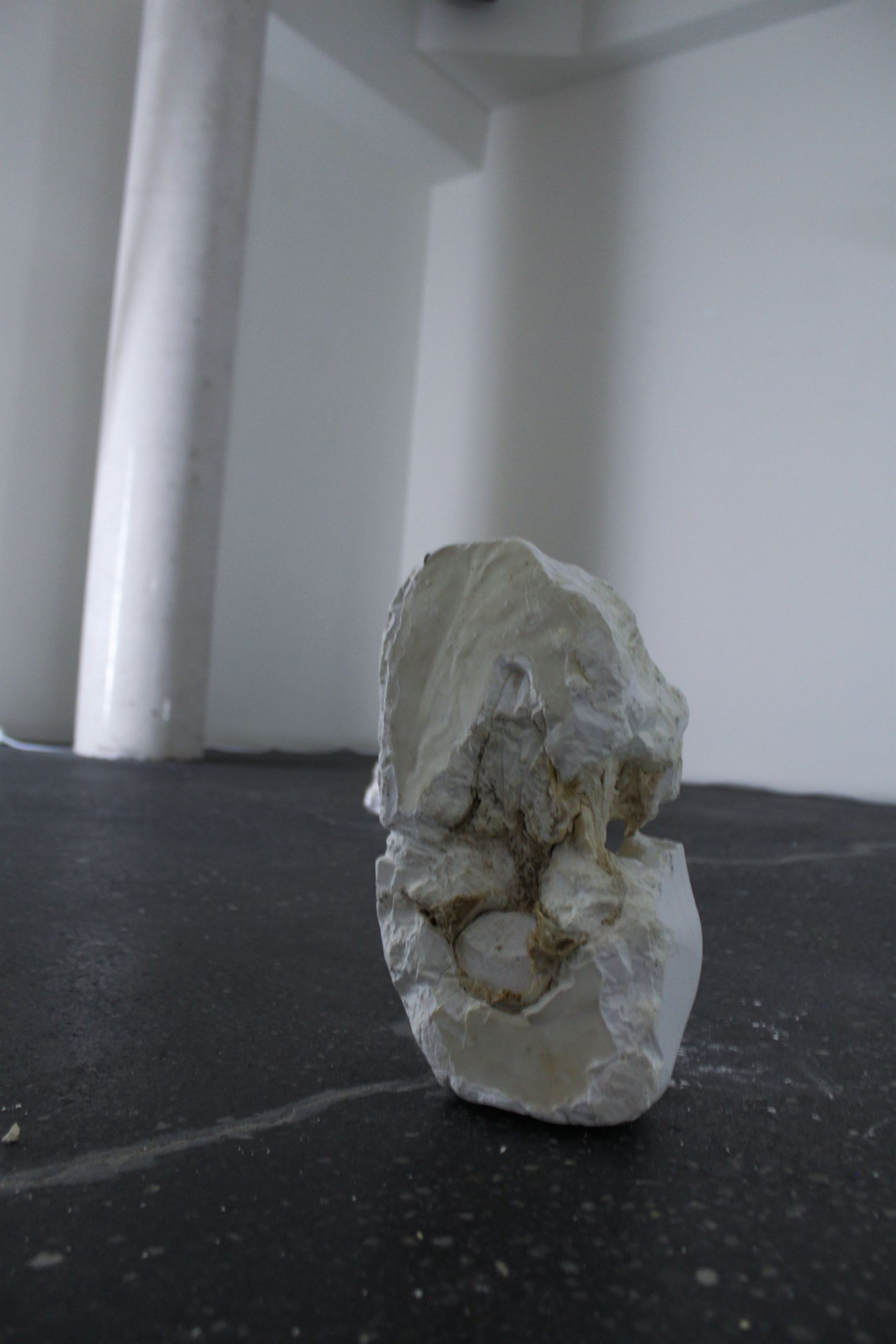 conjunto de todos los estados posibles – carlos zorromono (19)