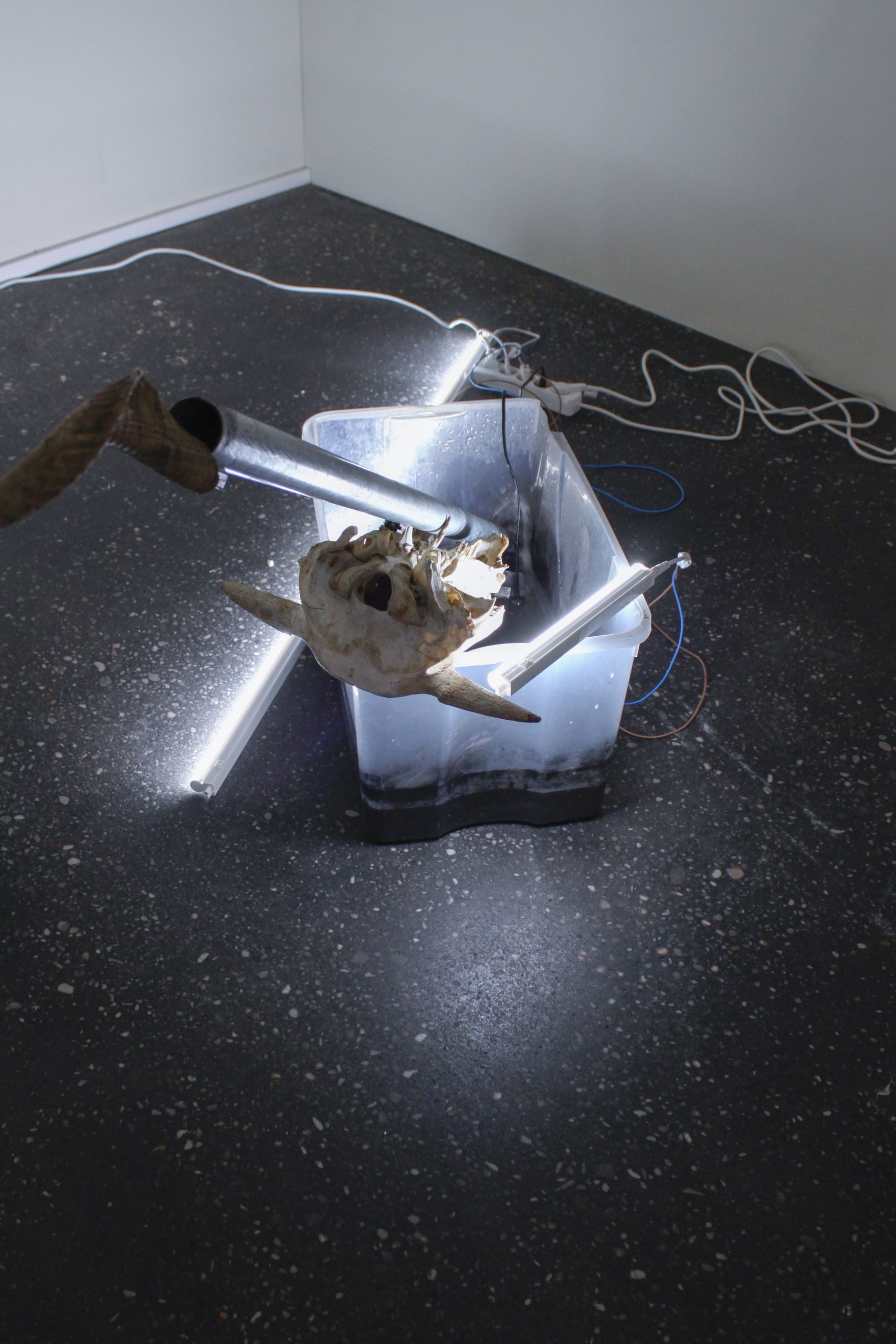 conjunto de todos los estados posibles – carlos zorromono (22)