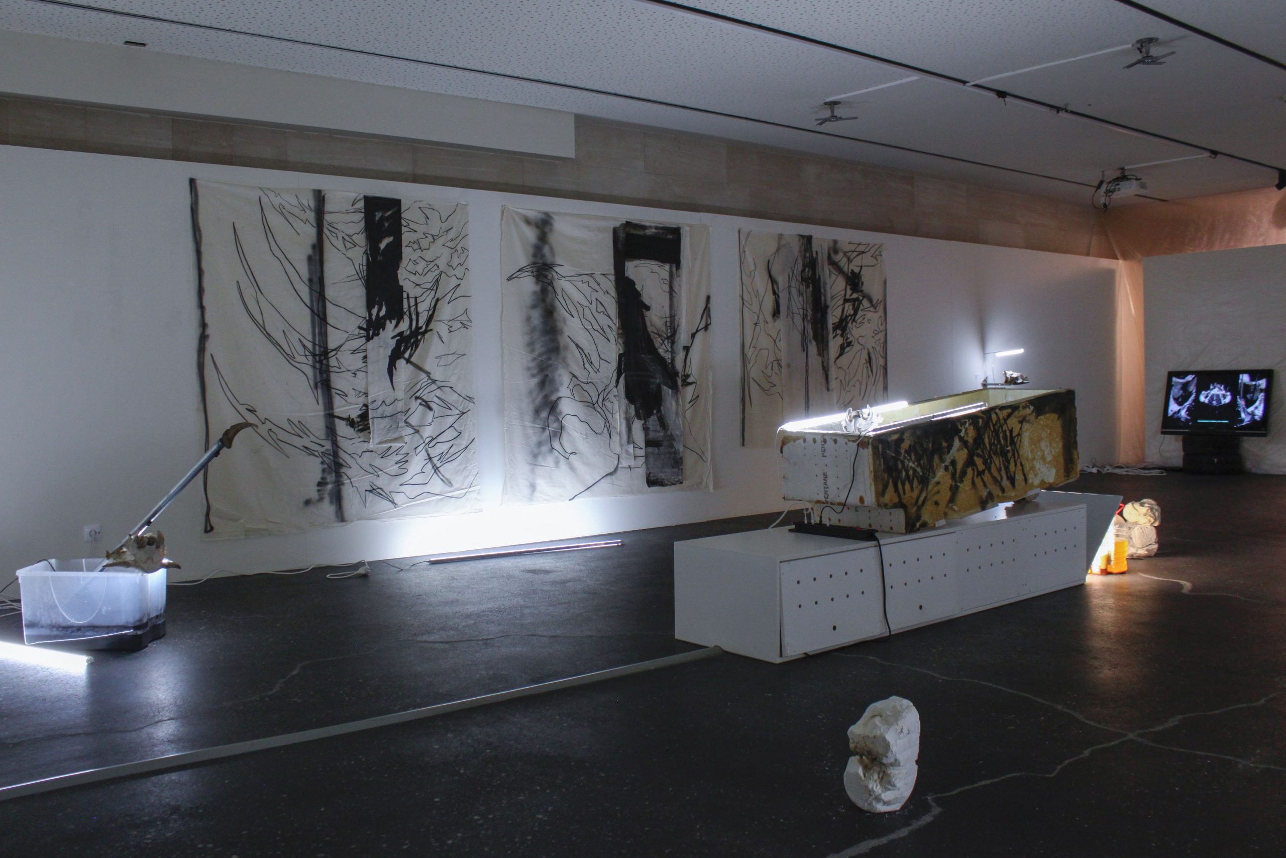 conjunto de todos los estados posibles – carlos zorromono (24)