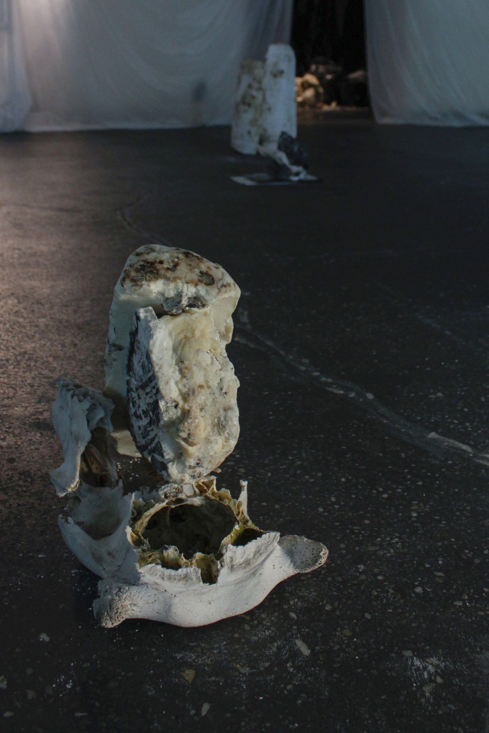 conjunto de todos los estados posibles – carlos zorromono (28)