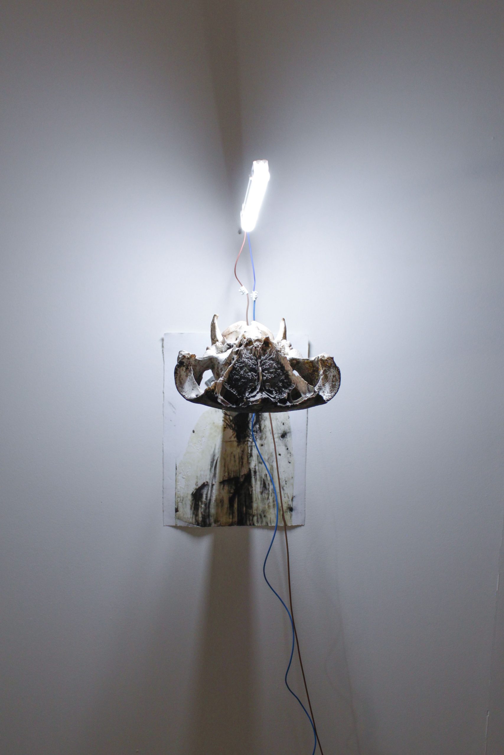 conjunto de todos los estados posibles – carlos zorromono (30)