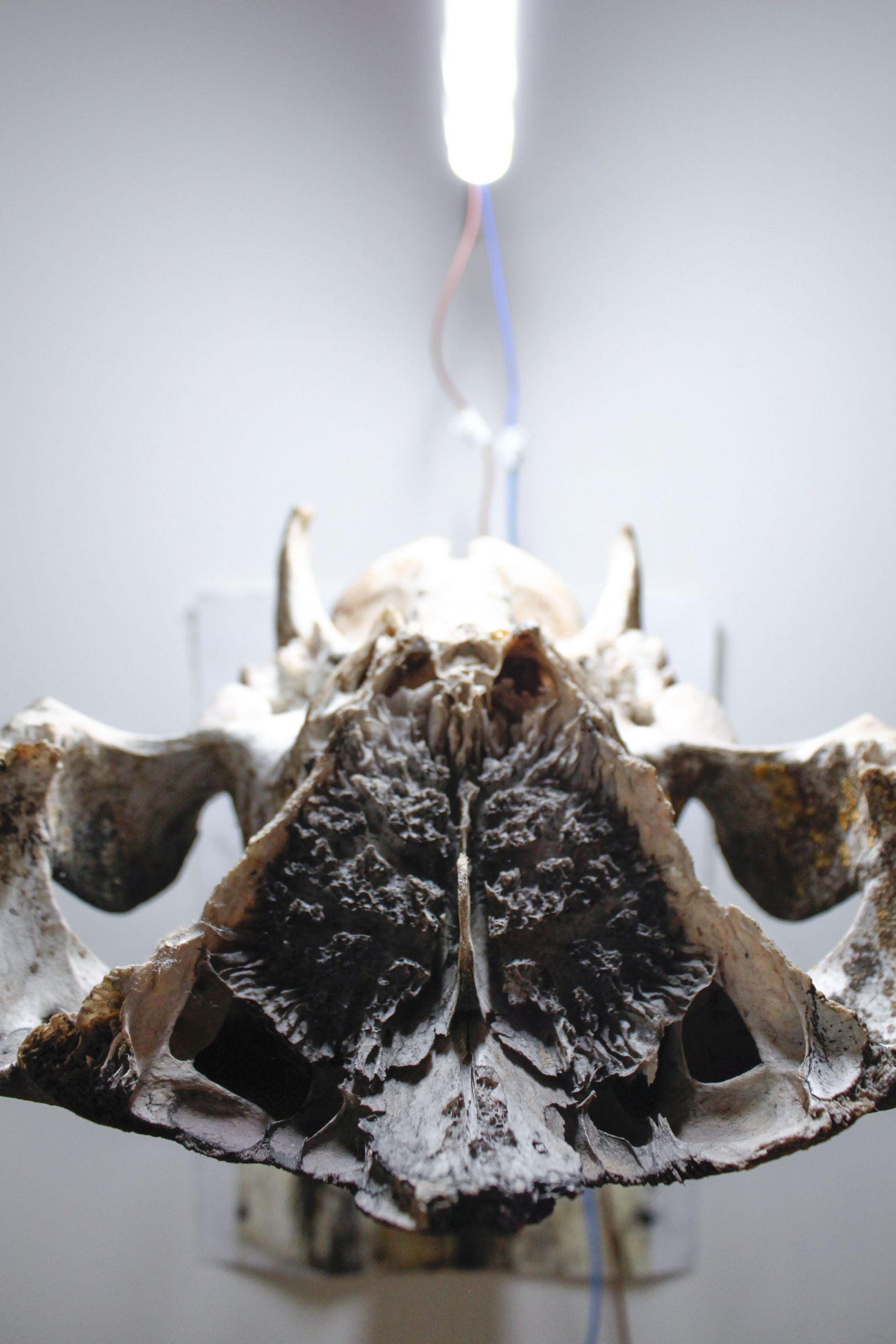 conjunto de todos los estados posibles – carlos zorromono (31)