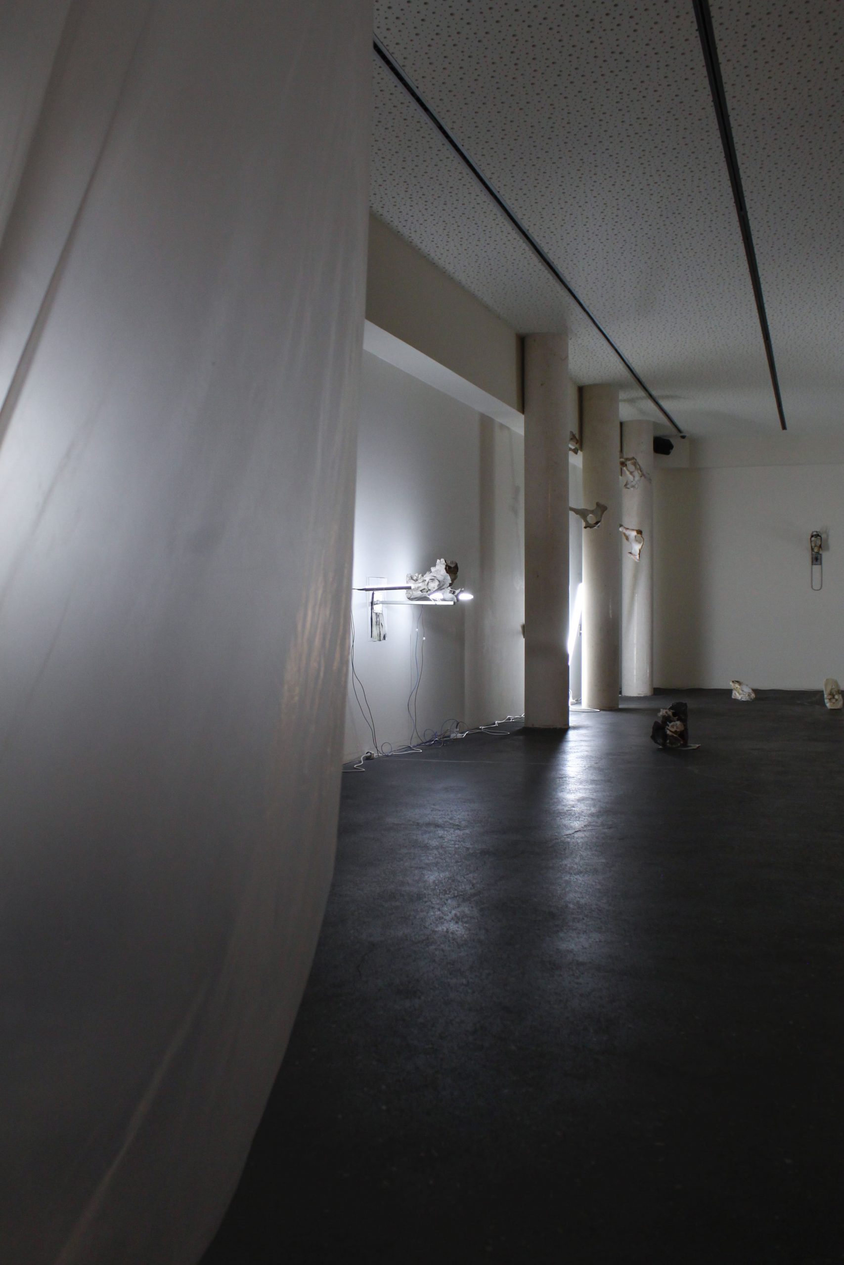 conjunto de todos los estados posibles – carlos zorromono (4)