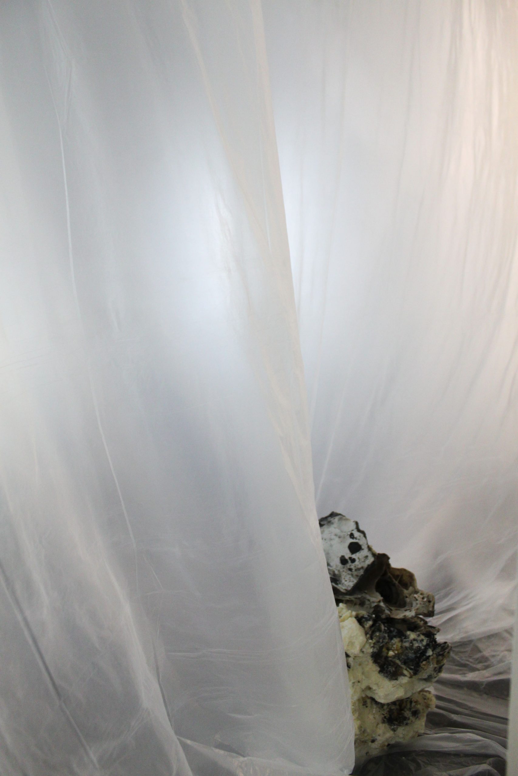 conjunto de todos los estados posibles – carlos zorromono (5)