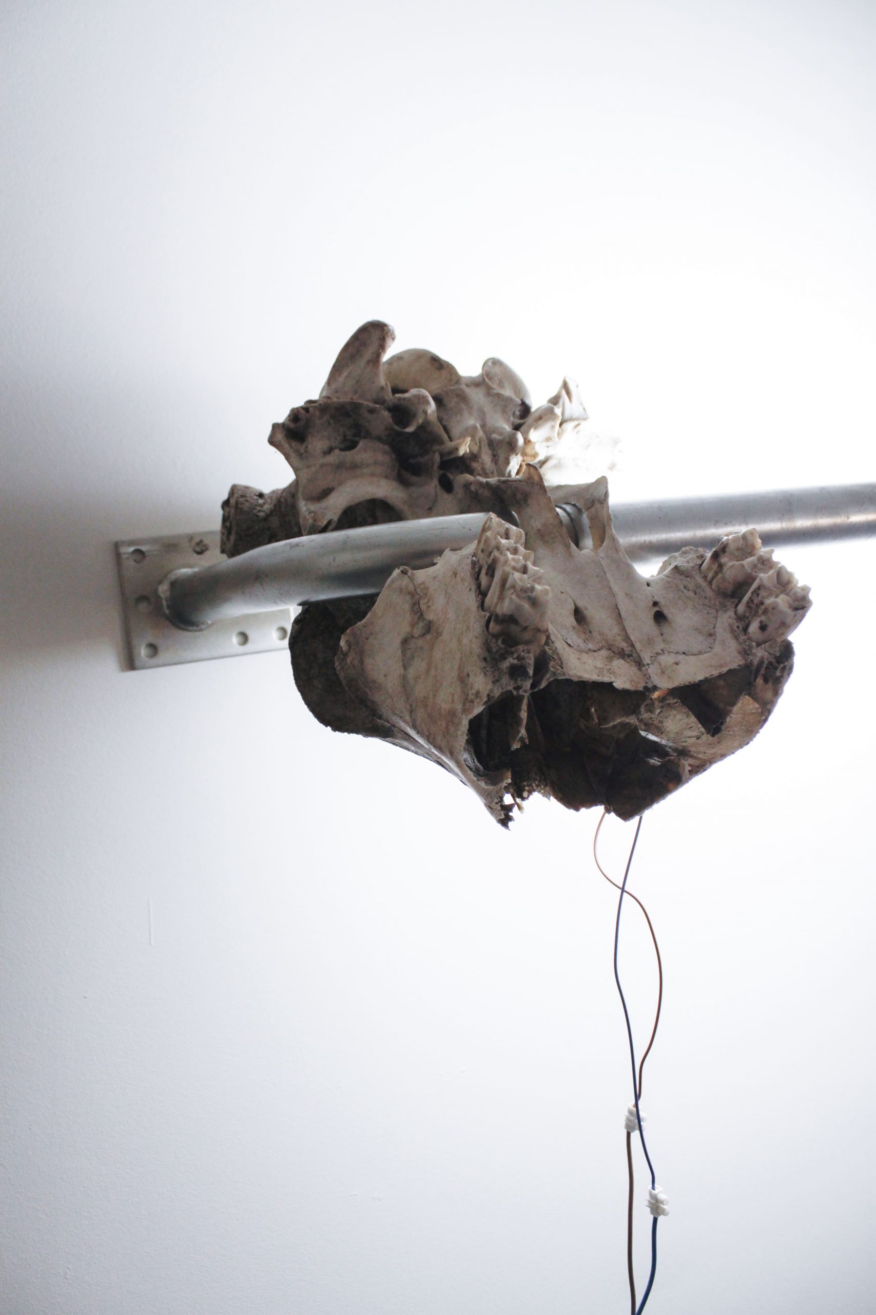 conjunto de todos los estados posibles – carlos zorromono (7)