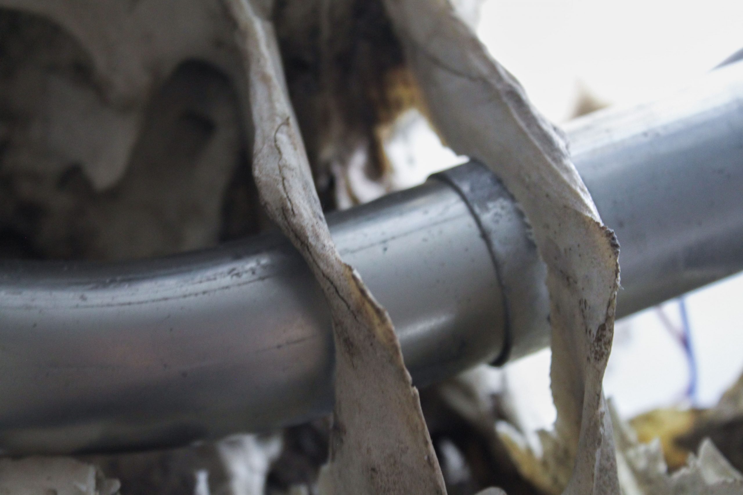 conjunto de todos los estados posibles – carlos zorromono (8)